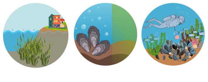 Example ecosystem services