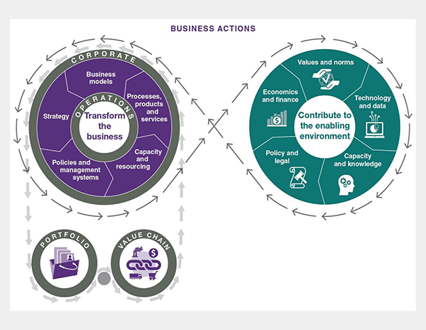 Diagram illustrating the relationship between business actions and the enabling environment from the BBA Summary for Policymakers.
