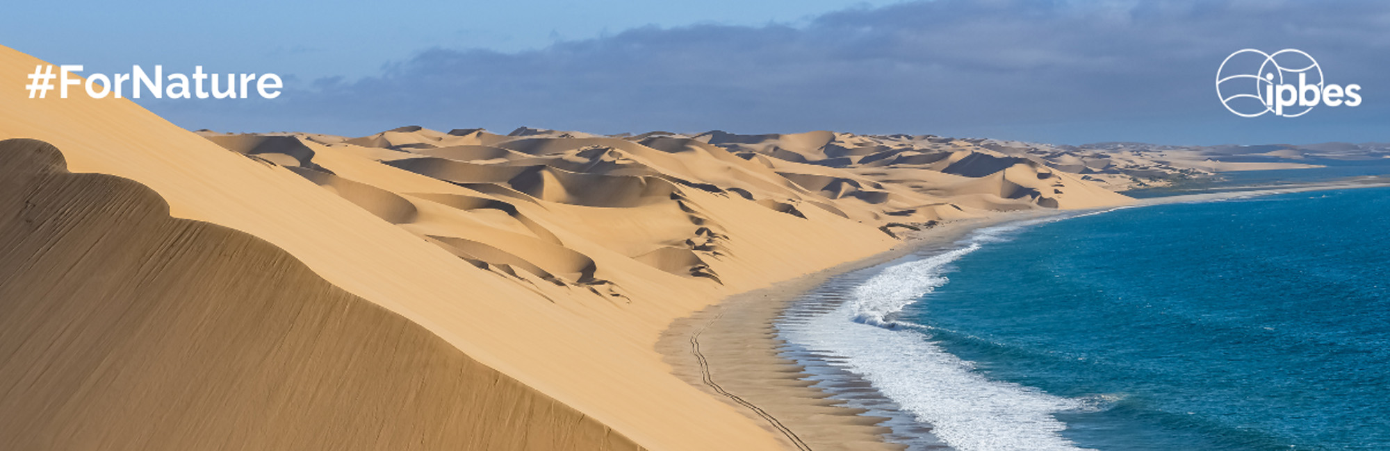 ©IPBES
