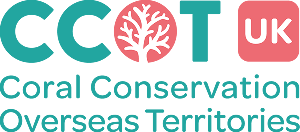 The logo for C-COT