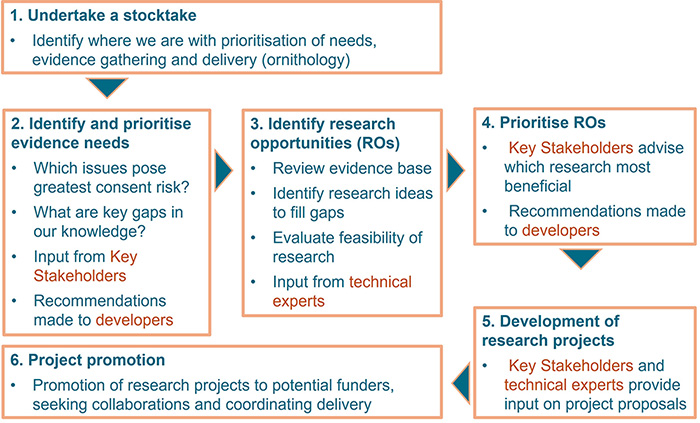 Flowchart outlining the 6 steps in the OWSMRF process 