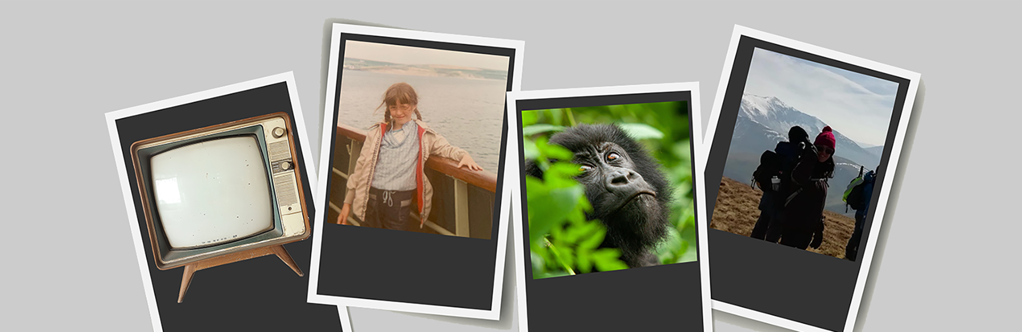 1970s TV, David Attenborough and the power of communication