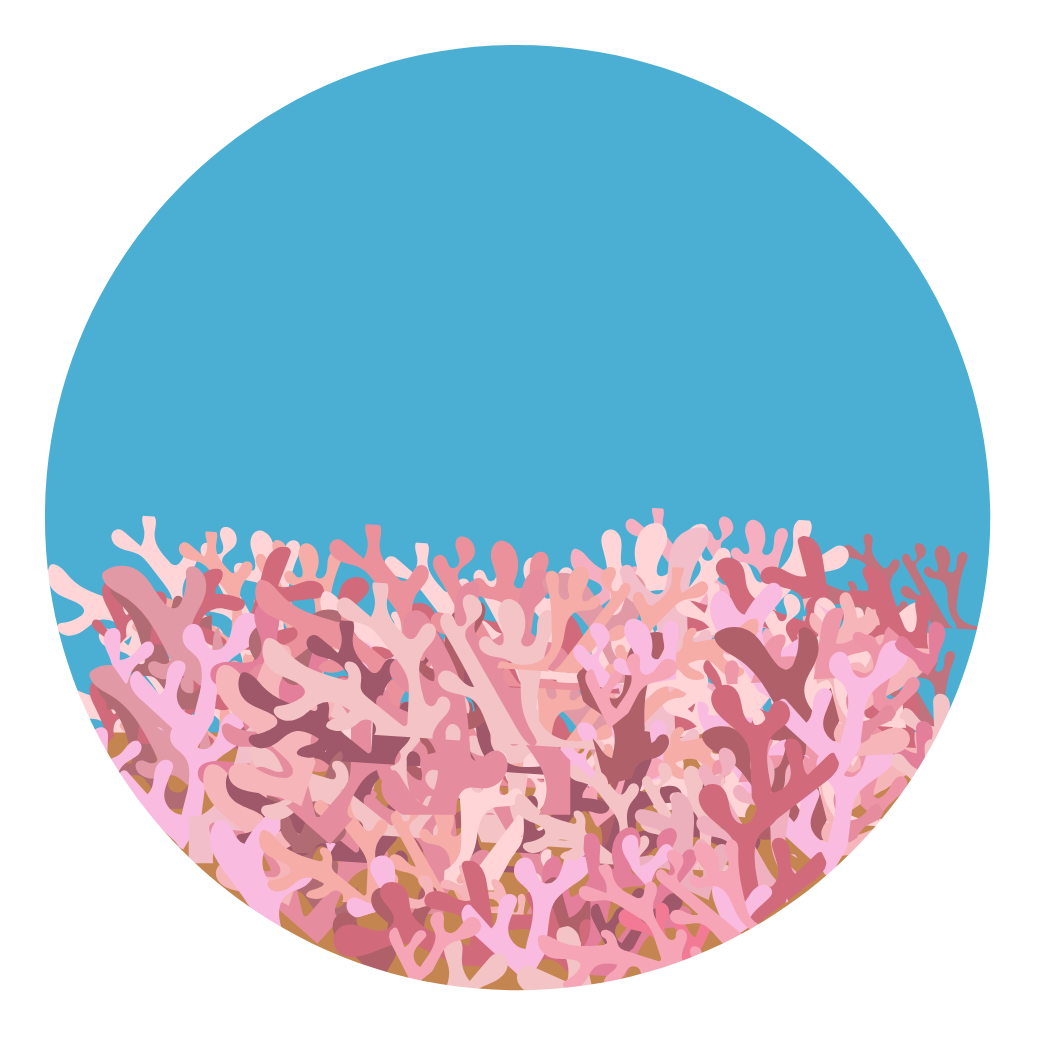 Maerl