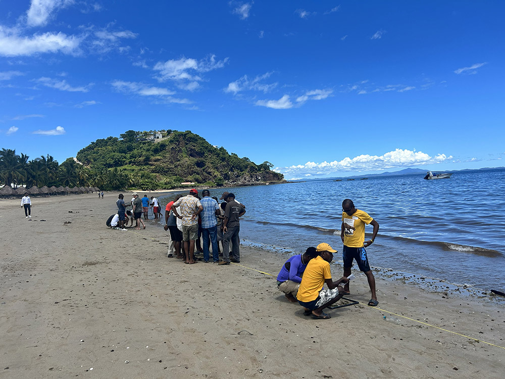 Seagrass Land Survey ©Holly Baigent